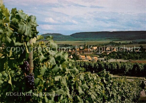 Gueglingen Weinberge im Zabergau mti Stromberg