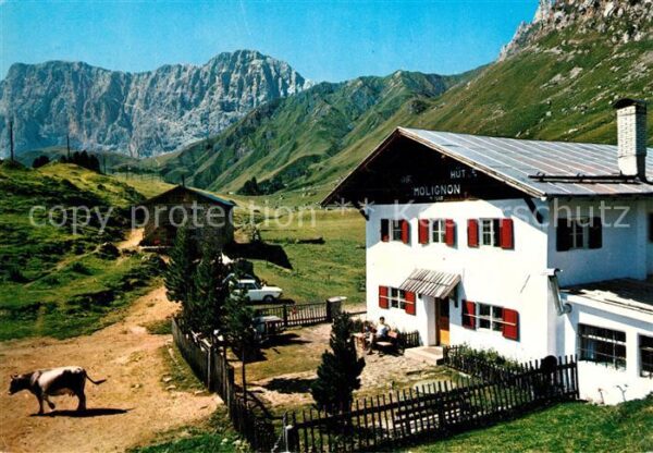 Seiseralm Chiemgau Rifugio Molignon Huette Kuh