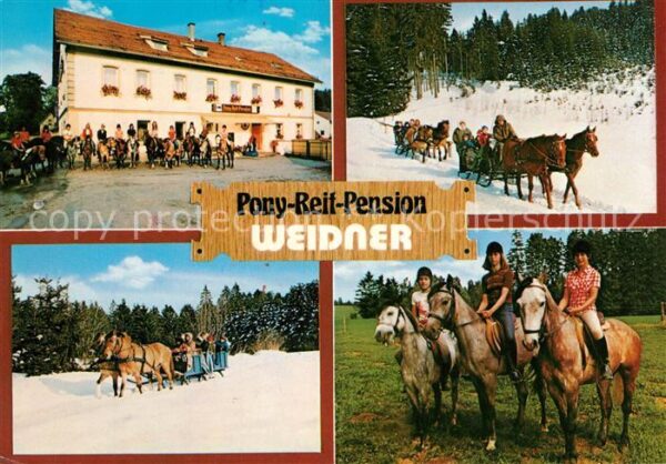 Marktleugast Steinbach Pony-Reif-Pension Weider Pferdeschlitten
