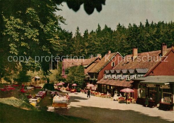Bad Harzburg Harzhotel Molkenhaus