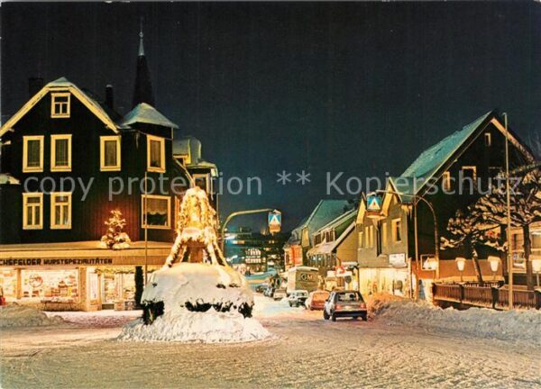 Braunlage Partie am Eichhoernchen Brunnen zur Weihnachtszeit Nachtaufnahme