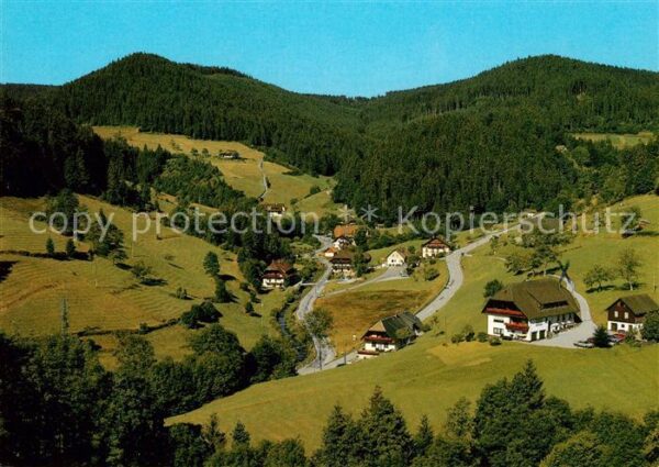 Holzwald Landschaftspanorama
