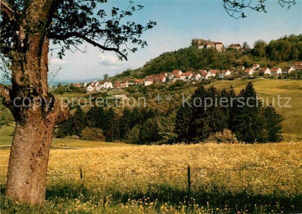 Hohenrechberg Blick ueber die Felder zur Burgruine