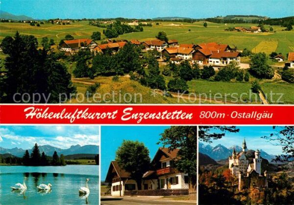 Enzenstetten Panorama Schwaene Schloss Neuschwanstein Alpenblick