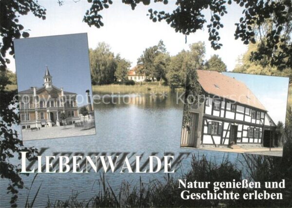 Liebenwalde Muehlensee Rathaus Fachwerkhaus