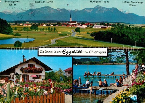 Eggstaett Oberbayern Panorama mit Hochfelln und Hochgern Chiemgauer Alpen Blumen
