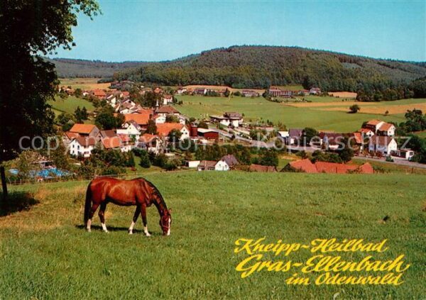 Grasellenbach Teilansicht Luftkurort Odenwald Pferd