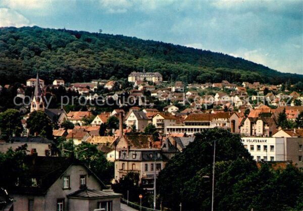 Hofheim Taunus Stadtpanorama