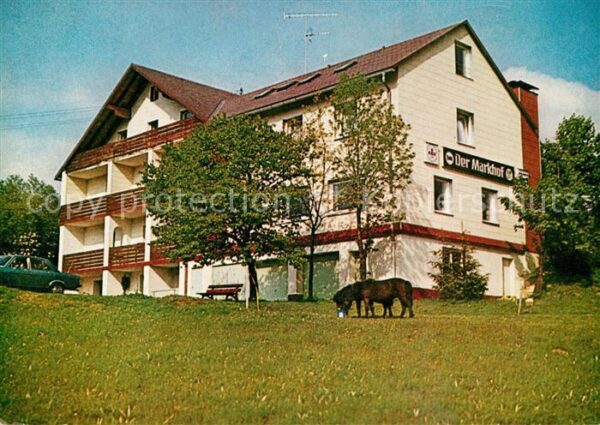 Neubau Fichtelberg Gasthof Pension Der Markhof Pony