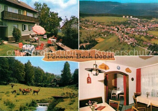 Dobel Schwarzwald Pension Beck Landschaftspanorama Wild Fliegeraufnahme
