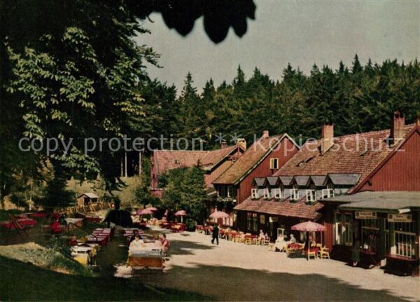 Bad Harzburg Harzhotel Molkenhaus Gartenrestaurant