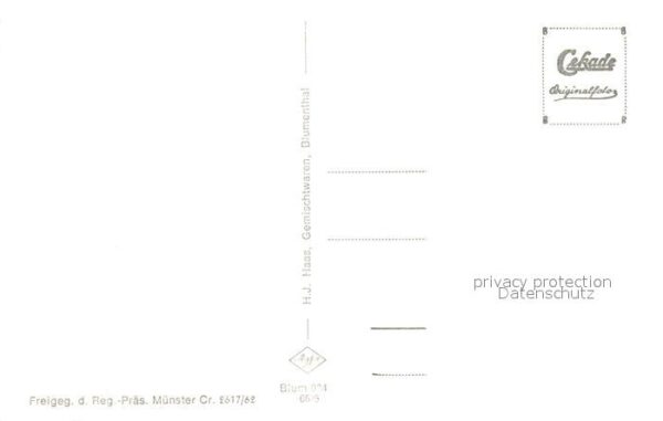 Blumenthal Schleiden Fliegeraufnahme – Bild 2