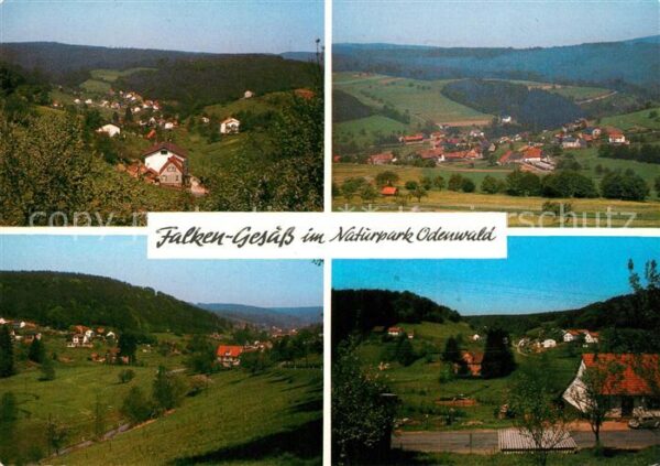 Falken-Gesaess