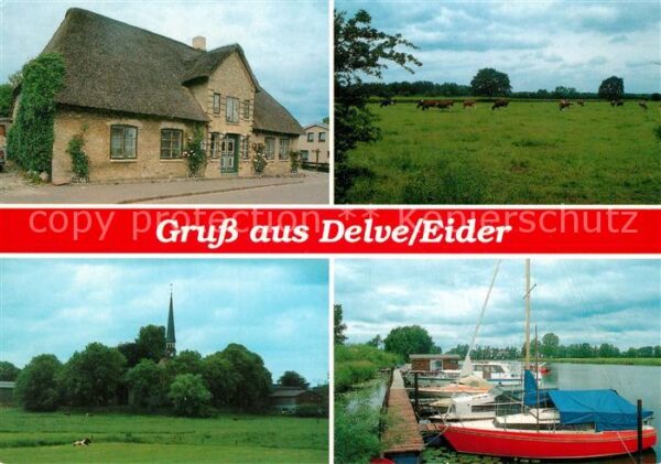 Delve Holstein Hafen