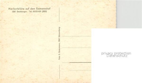 Deckbergen Essmannshof – Bild 2