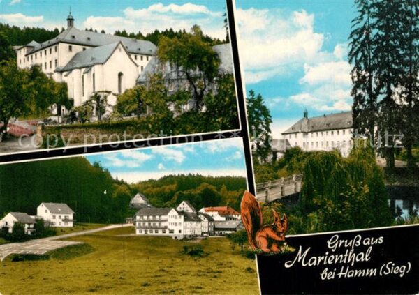 Marienthal Westerwald Teilansichten Kloster Wallfahrtskirche Eichhoernchen