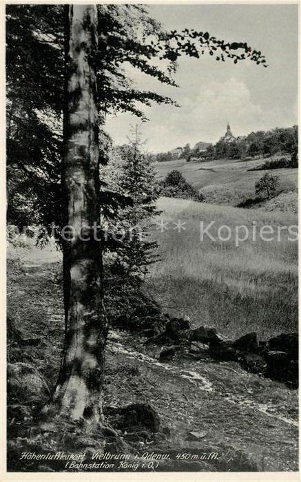 Vielbrunn Partie am Waldrand Hoehenluftkurort Odenwald