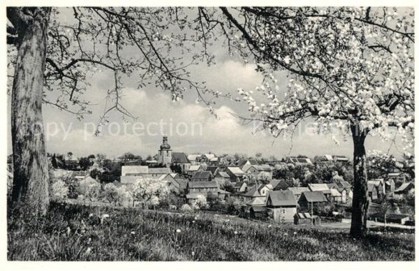 Vielbrunn Ortsansicht Hoehenluftkurort mit Kirche Baumbluete