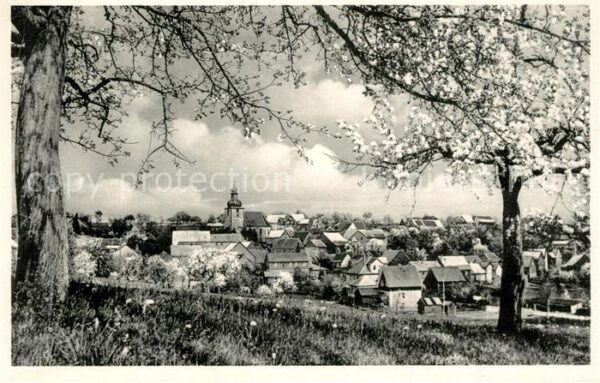 Vielbrunn Ortsansicht Hoehenluftkurort mit Kirche Baumbluete