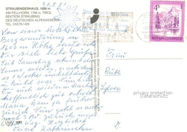 Oberstdorf Straubingerhaus am Fellhorn Almvieh Kuehe Allgaeuer Alpen – Bild 2
