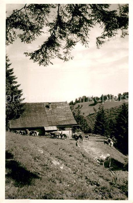 Grassau Chiemgau Hefter Alm