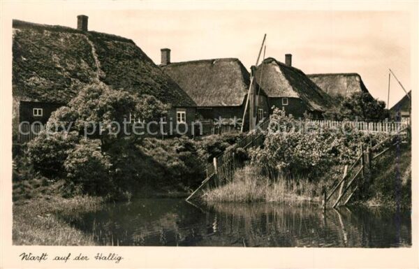 Hallig Nordsee Warft