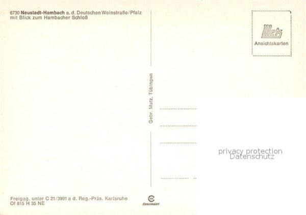 Hambach Neustadt Fliegeraufnahme – Bild 2
