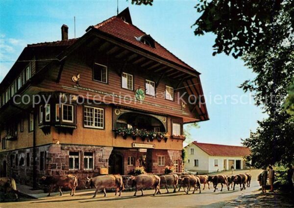 oedenwald Schwarzwaldgasthof Adrionshof Viehauftrieb