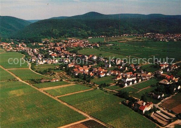 Gimmeldingen Fliegeraufnahme
