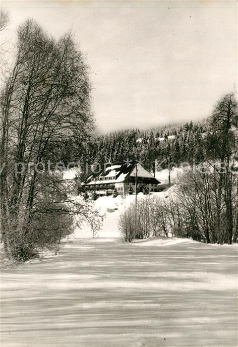 Hinterzarten Gasthof Pension Heizmannshof