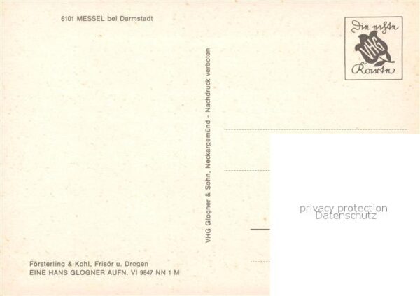 Messel – Bild 2