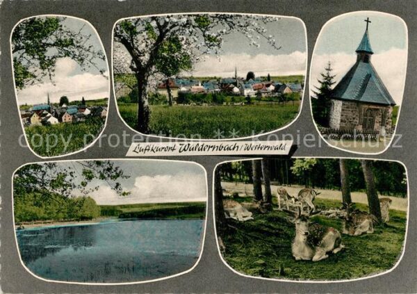 Waldernbach Wildgehege Kapelle