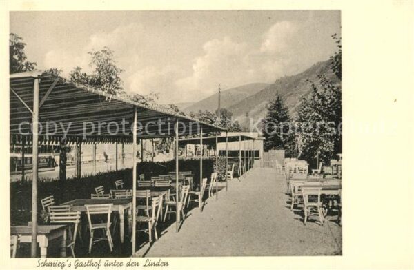 Assmannshausen Schmiegs Gasthof unter den Linden