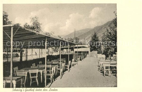 Assmannshausen Schmiegs Gasthof unter den Linden