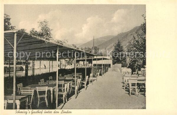 Assmannshausen Schmiegs Gasthof unter den Linden