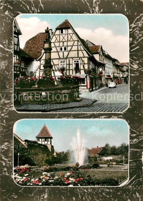 Michelstadt Stadtgarten