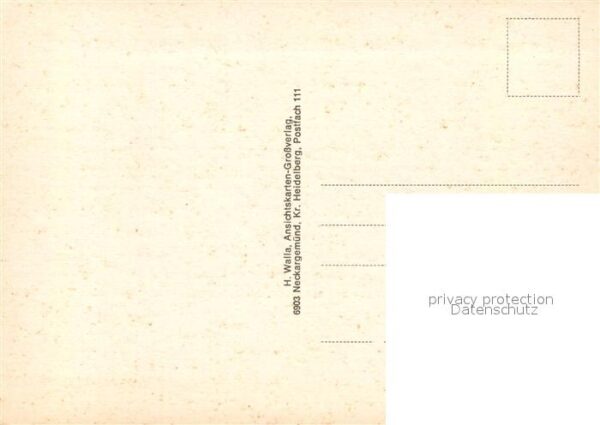 Rippenweier – Bild 2