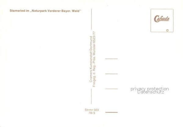 Stamsried Fliegeraufnahme – Bild 2