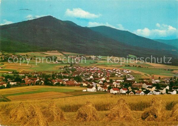 Koetzting Kaltersberg