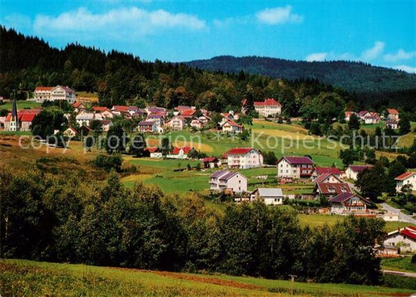 Rabenstein Zwiesel Panorama