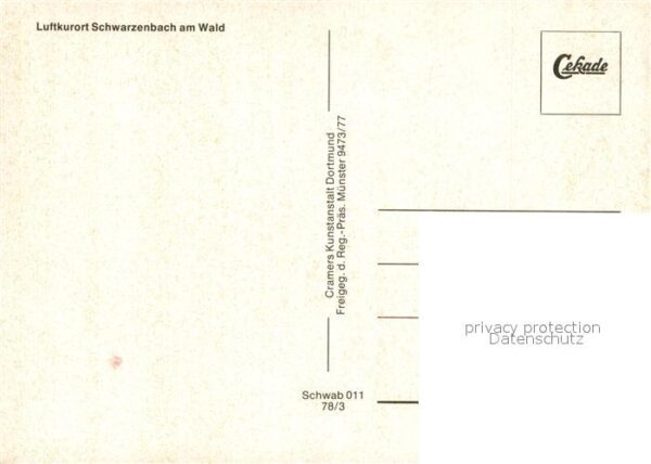 Schwarzenbach Wald Fliegeraufnahme – Bild 2