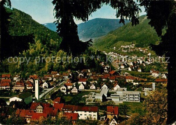 Calmbach Enz