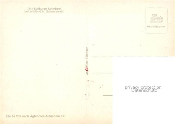 Calmbach Enz – Bild 2