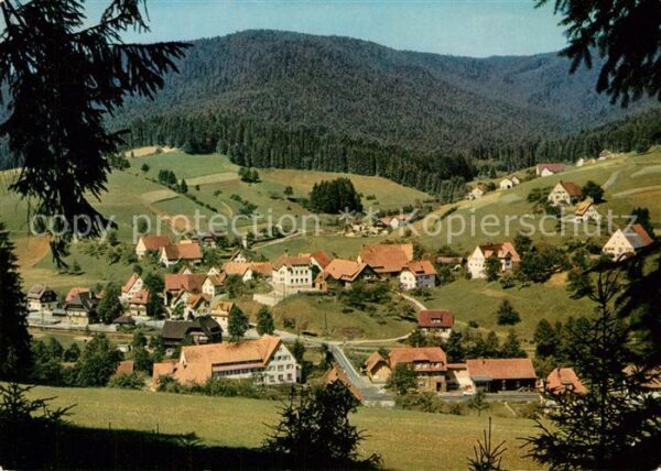 Roet Baiersbronn Gasthof Sonne