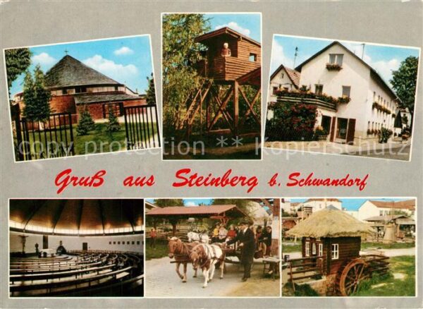 Steinberg Schwandorf Ponyhof