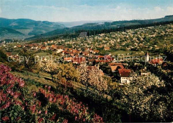 Staufenberg Gernsbach Panorama