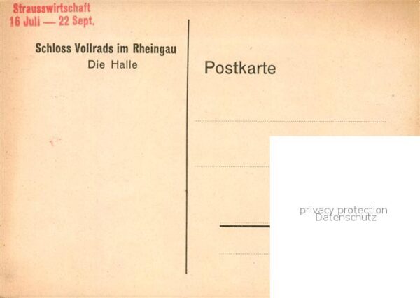 Oestrich-Winkel Schloss Vollrads Halle – Bild 2