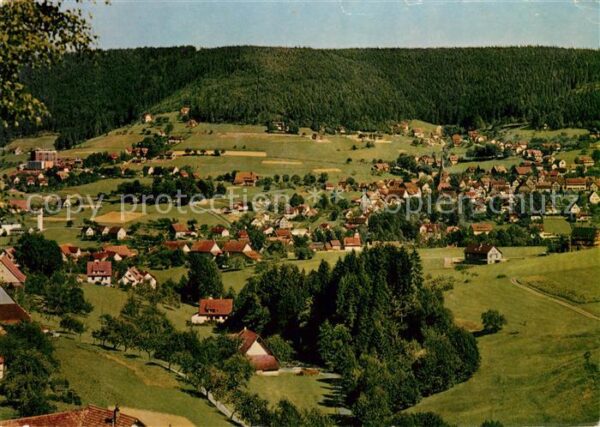 Baiersbronn Schwarzwald Panorama