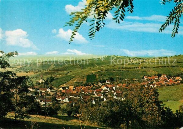 Auggen Panorama