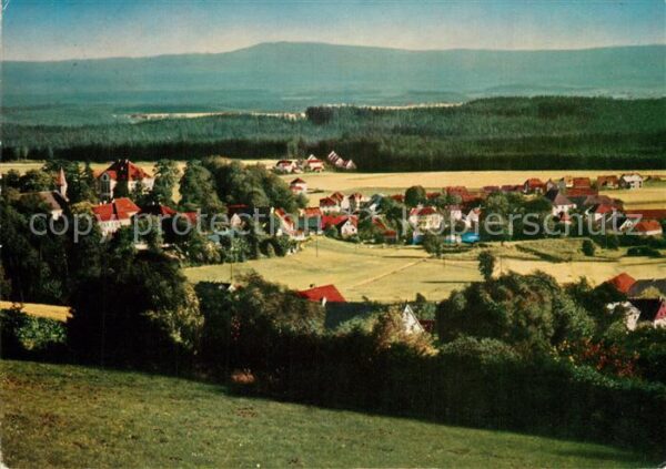 Friedenfels im Steinwald Panorama